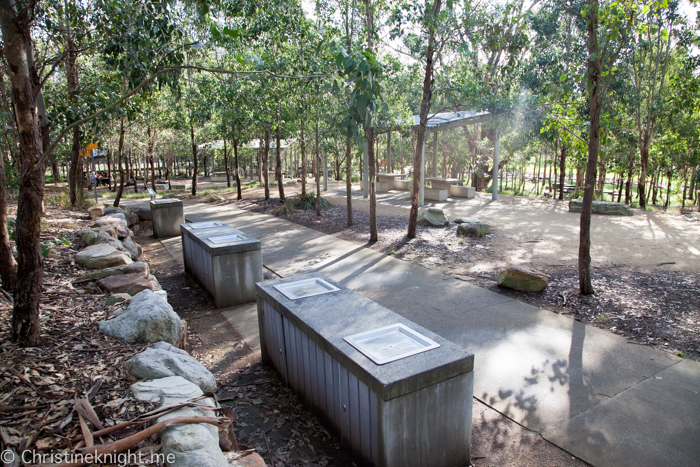 Lizard Log Park and Playground