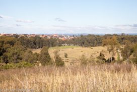 Lizard Log Park & Playground, Western Sydney Parklands - Adventure, baby!
