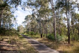 Lizard Log Park & Playground, Western Sydney Parklands - Adventure, baby!