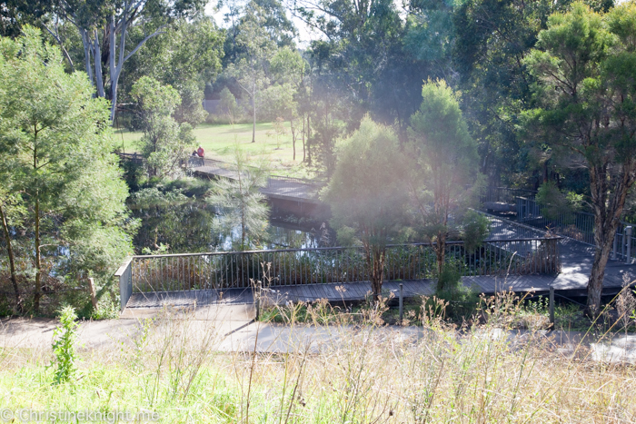 Lizard Log Park and Playground