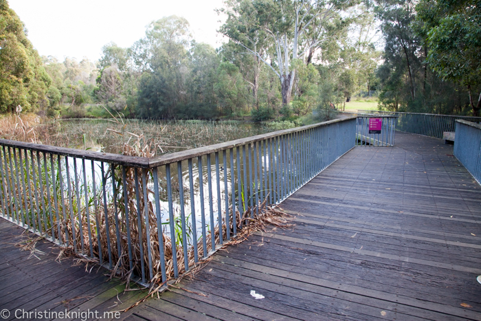 Lizard Log Park and Playground