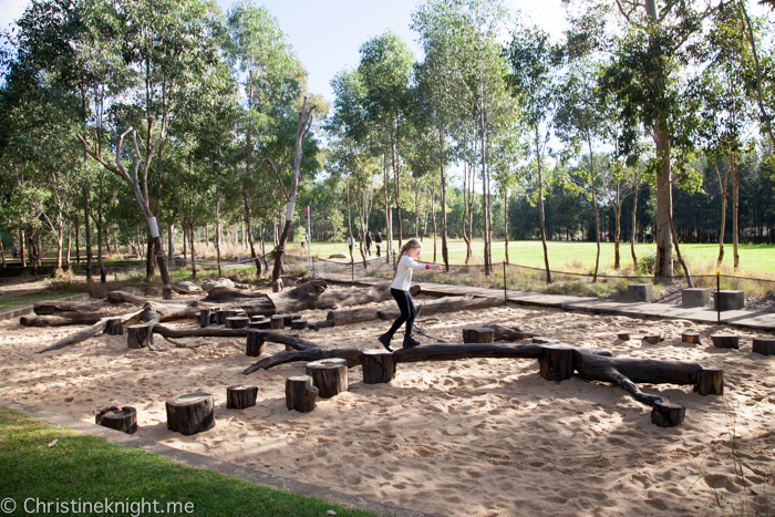 Lizard Log Park and Playground