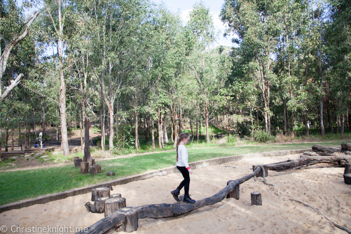 Lizard Log Park and Playground