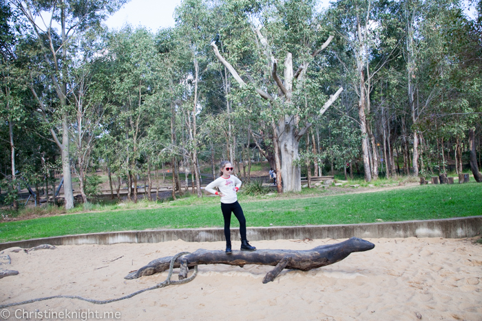 Lizard Log Park and Playground