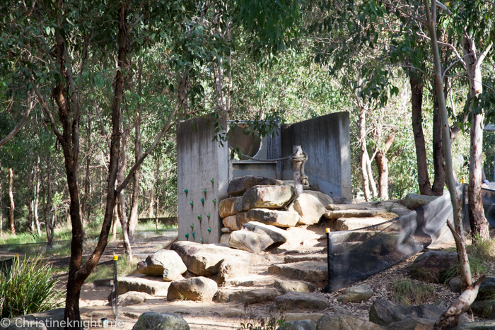 Lizard Log Park and Playground