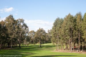 Lizard Log Park & Playground, Western Sydney Parklands - Adventure, baby!