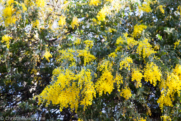 Oatley Park, Sydney