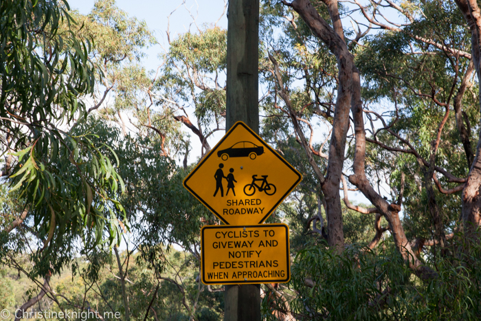 Oatley Park, Sydney