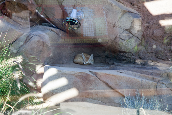 Taronga Zoo, Sydney