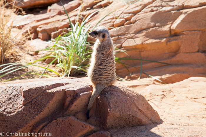 Taronga Zoo, Sydney