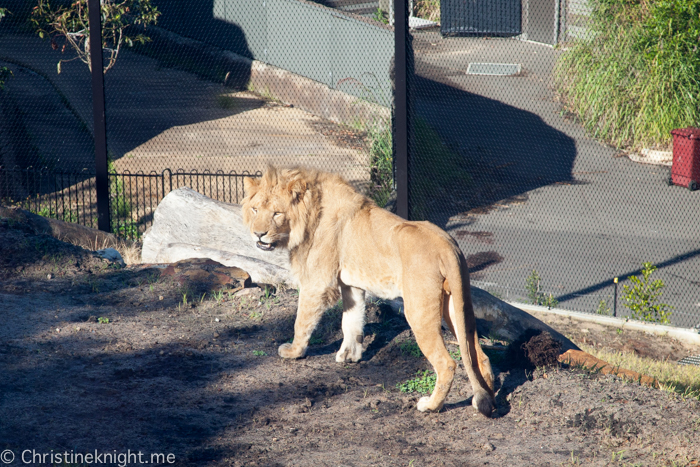 Taronga Zoo, Sydney