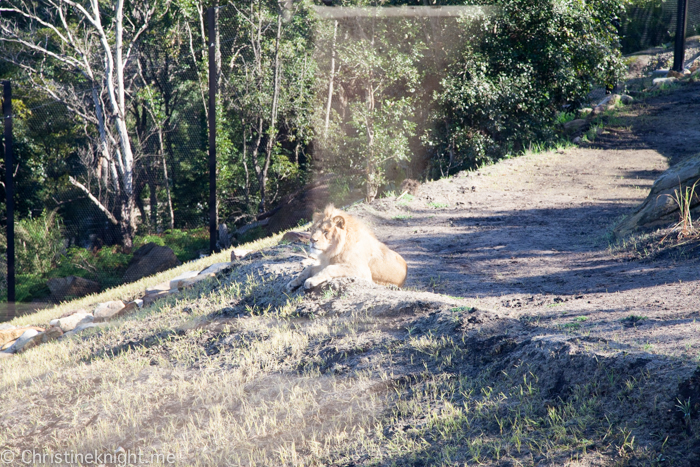 Taronga Zoo, Sydney