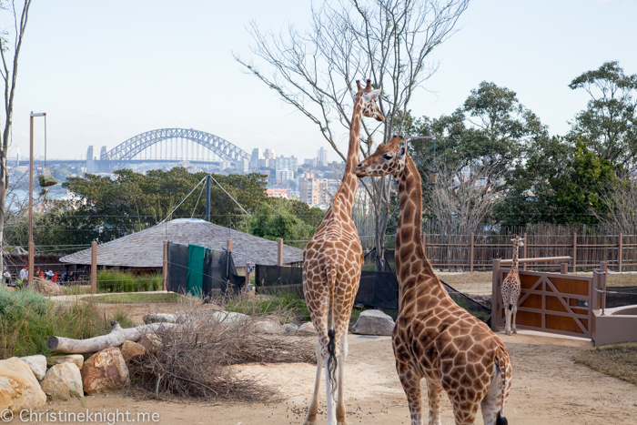 Taronga Zoo, Sydney