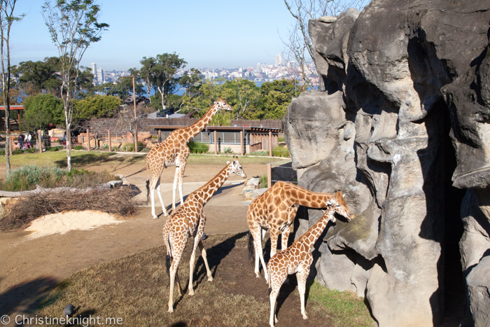 Taronga Zoo, Sydney