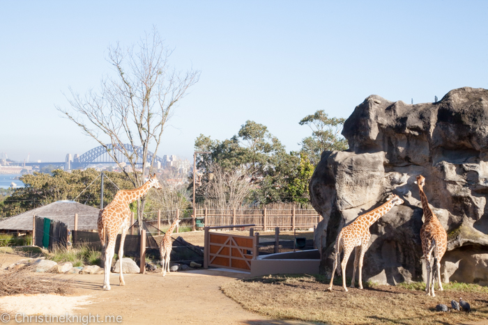 Taronga Zoo, Sydney