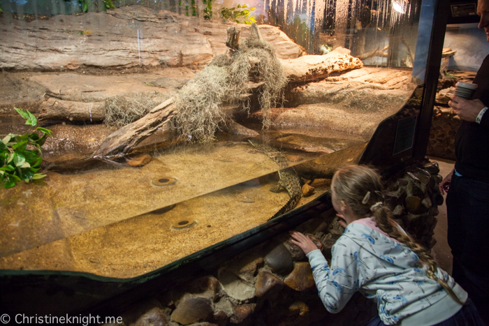 Oakvale Wildlife Park Port Stephens