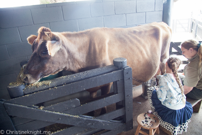 Oakvale Wildlife Park Port Stephens