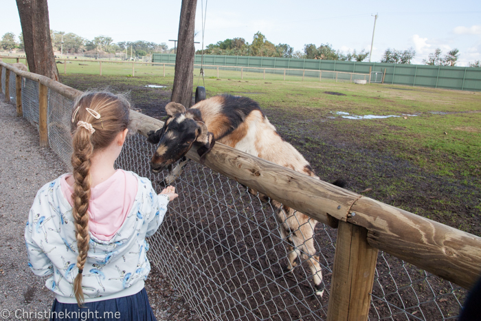 Oakvale Wildlife Park Port Stephens