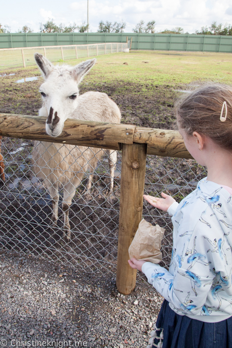 Oakvale Wildlife Park Port Stephens