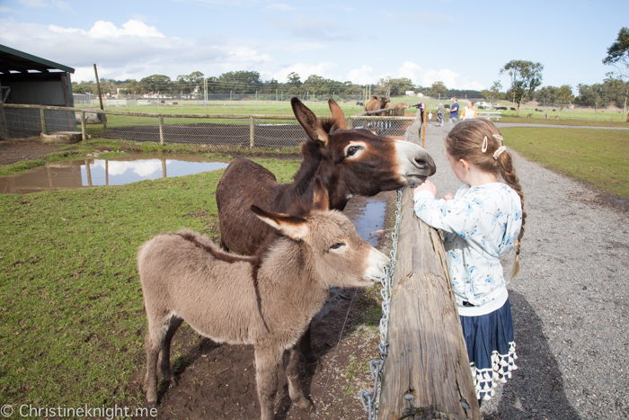 Oakvale Wildlife Park Port Stephens