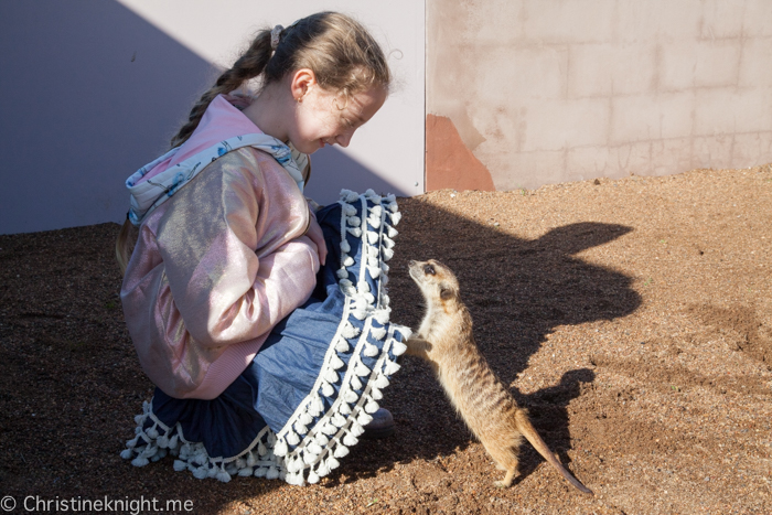 Oakvale Wildlife Park Port Stephens