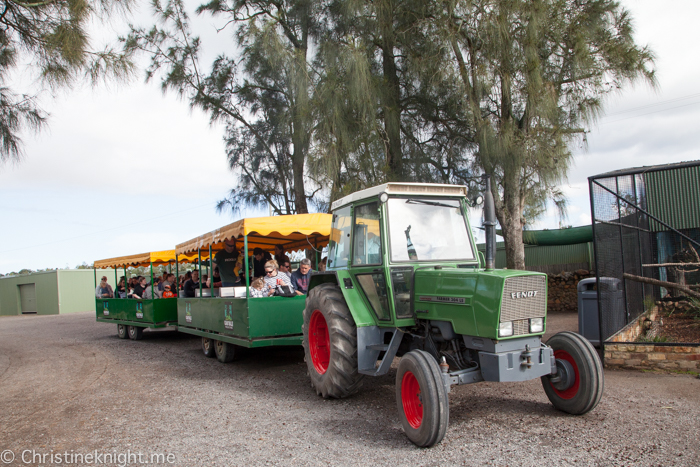 Oakvale Wildlife Park Port Stephens