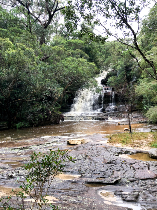 Somersby Falls Central Coast