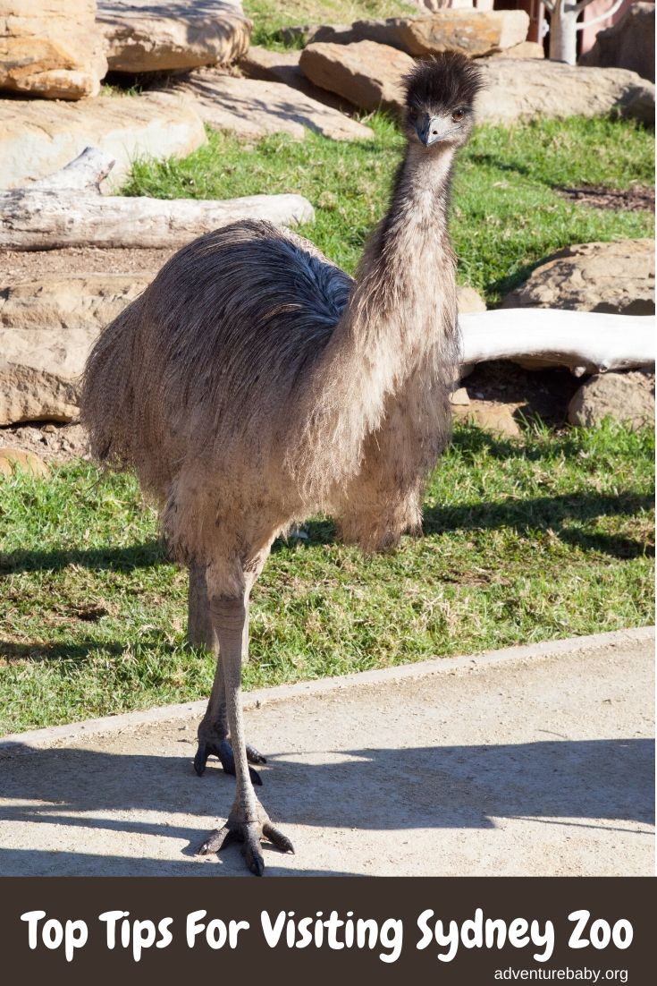 Sydney Zoo