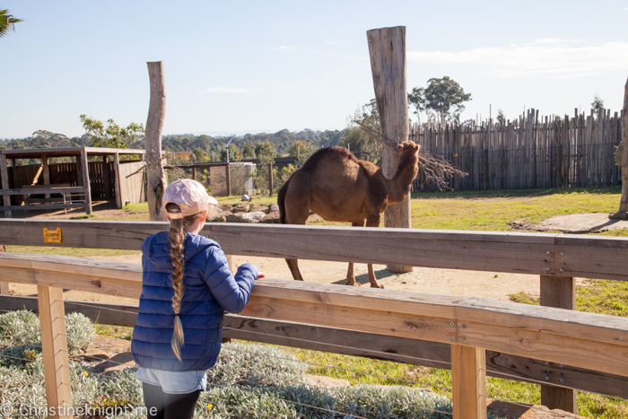 Sydney Zoo