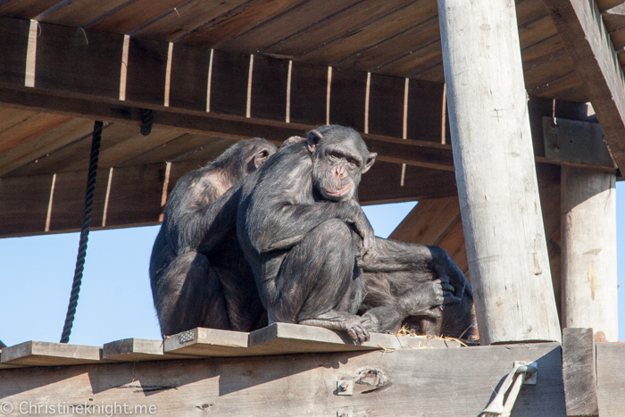 Sydney Zoo