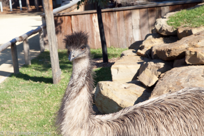 Sydney Zoo