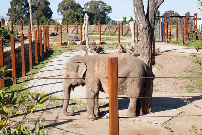 Sydney Zoo