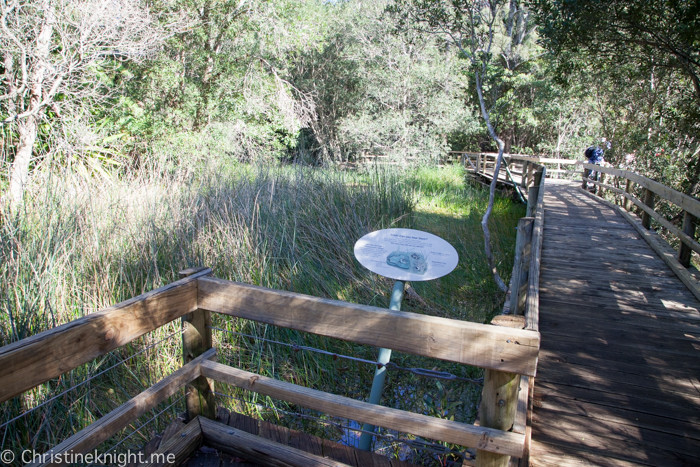 Ku-ring-gai Wildflower Garden