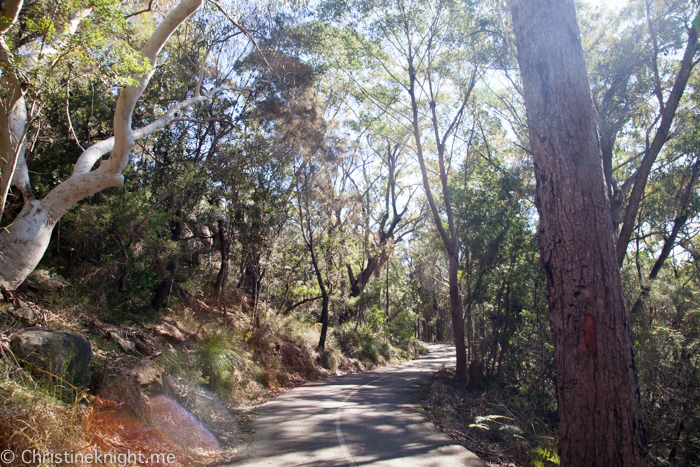 Ku-ring-gai Wildflower Garden