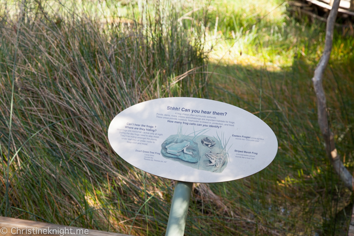 Ku-ring-gai Wildflower Garden