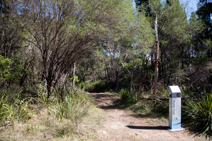 Ku-ring-gai Wildflower Garden