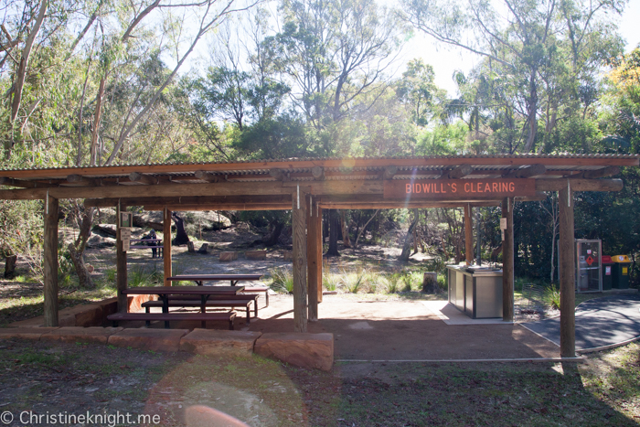 Ku-ring-gai Wildflower Garden