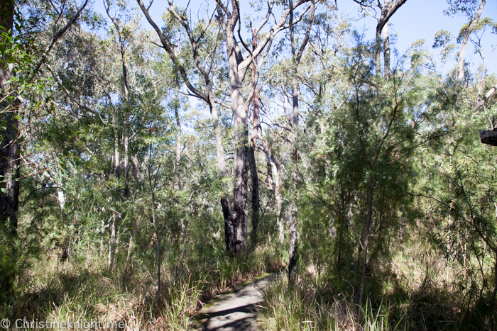 Ku-ring-gai Wildflower Garden