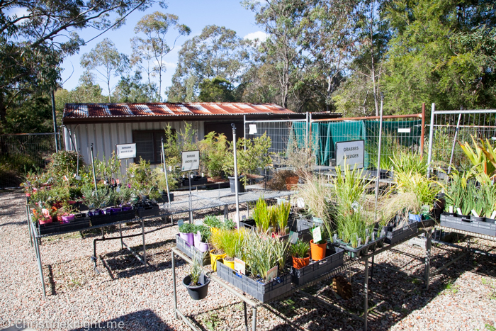 Ku-ring-gai Wildflower Garden