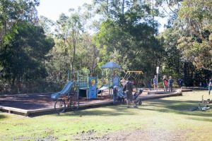 Ku-ring-gai Wildflower Garden: Sydney's Best Parks & Gardens ...