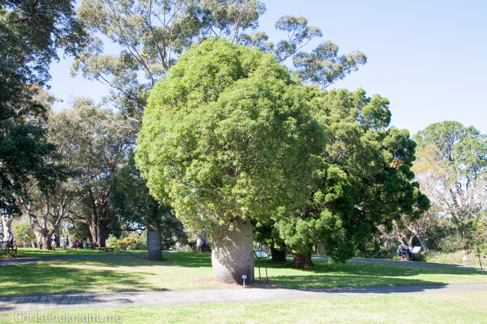 Wollongong Botanic Garden
