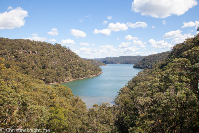 America Bay Track Ku-ring-gai Chase National Park Sydney Australia