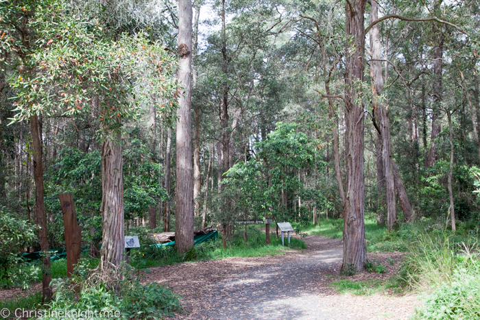 Carrs Bush Park Playground Fagan park Galston Sydney