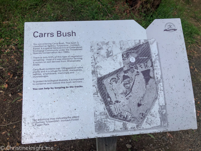 Carrs Bush Park Playground Fagan park Galston Sydney