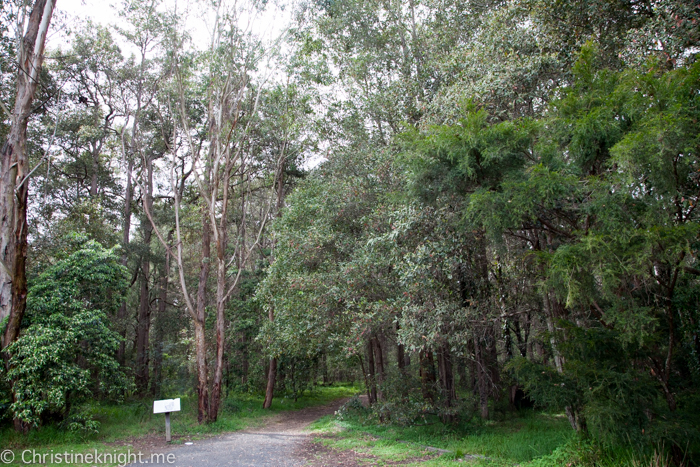 Carrs Bush Park Playground Fagan park Galston Sydney