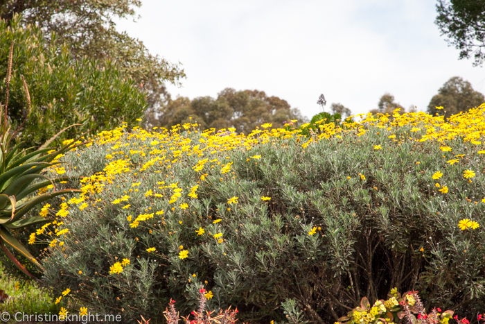 Fagan Park Galston Sydney