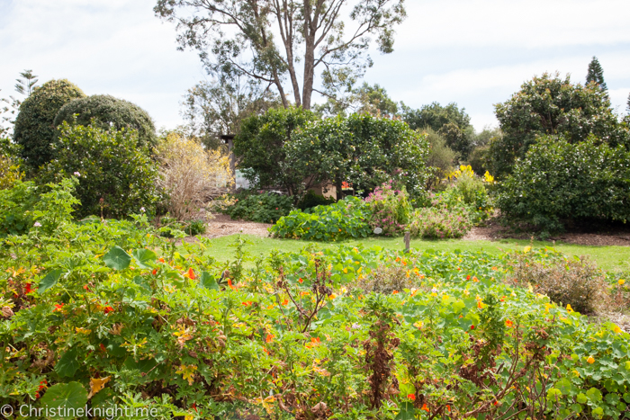 Fagan Park Galston Sydney