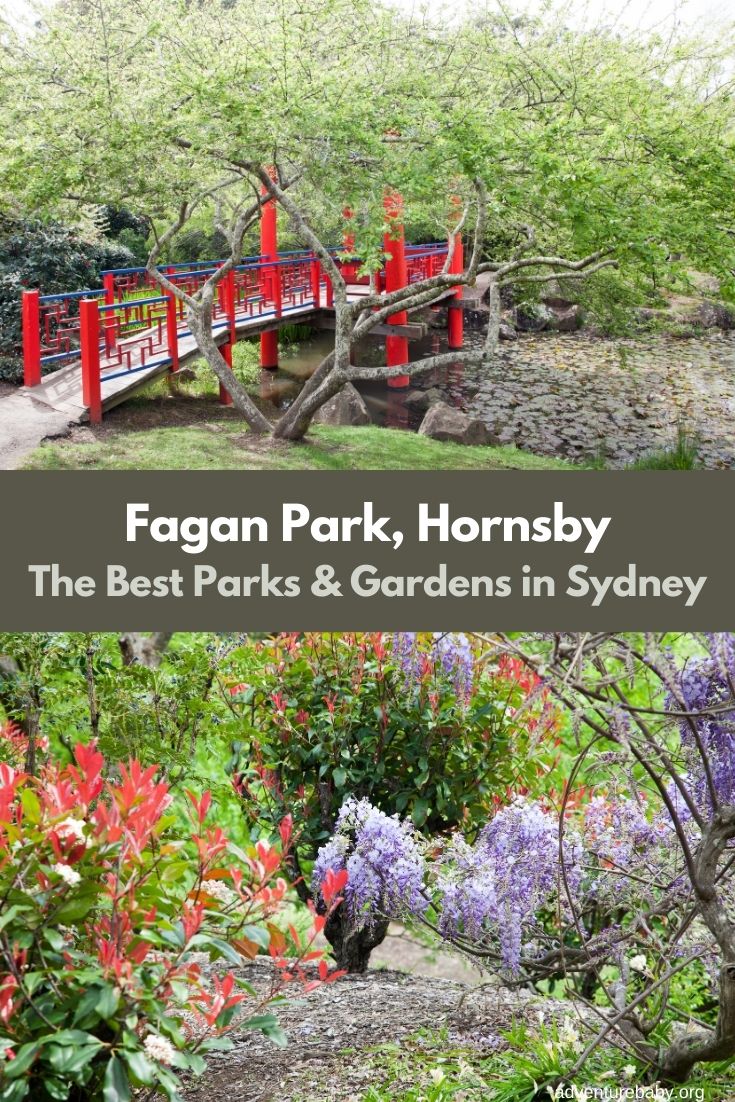 Fagan Park Playground Galston Sydney Adventure Baby