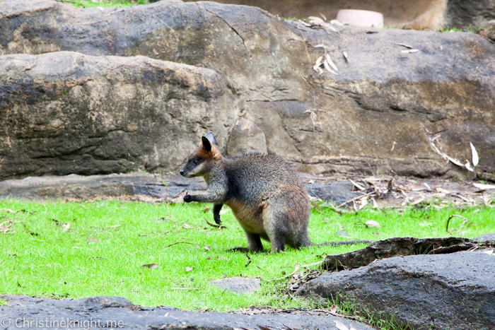 Blackbutt Nature Reserve