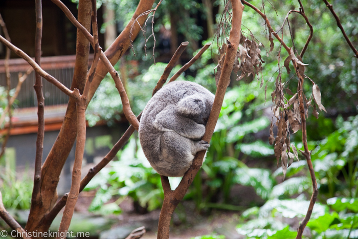 Blackbutt Nature Reserve